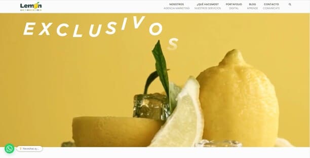 agencia lemon