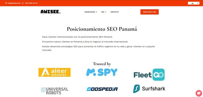 posicionamiento seo 